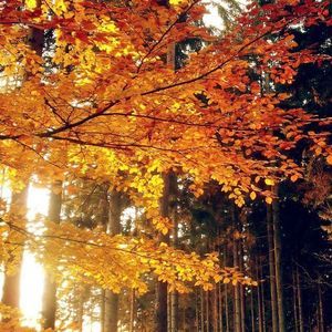 Meet your Posher, Marcia